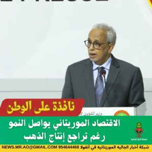 الاقتصاد الموريتاني يواصل النمو رغم تراجع إنتاج الذهب