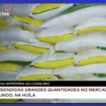 تلوث دقيق الذرة في لوبانغو يدفع السلطات إلى حجز كميات